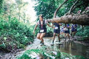 BIB: 
                            <button type="button" onclick="openModal(25444270)" class="btn btn-primary btn-sm float-right btn-popup" data-toggle="modal" data-target=".modal-high-quality">
                        <i class="fas fa-shopping-cart"></i> Add to Cart
                    </button>
                                            <button type="button" onclick="isThisMe(25444270, true)" class="btn btn-success btn-sm float-right btn-popup btn-isme hidden" data-toggle="tooltip" data-placement="bottom" title="นี่คือรูปของคุณใช่ไหม คลิกที่นี่เพื่อเอาเข้าอัลบั้ม">
                        <i class="fas fa-plus"></i> Add to album
                    </button>
                    <button type="button" onclick="isThisMe(25444270, false)" class="btn btn-warning btn-sm float-right btn-popup btn-isnotme hidden">
                        <i class="fas fa-ban"></i> Remove from album
                    </button>